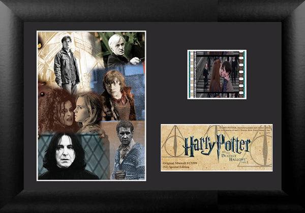 Harry Potter and the Deathly Hallows™ Part 2 (S2) Minicell