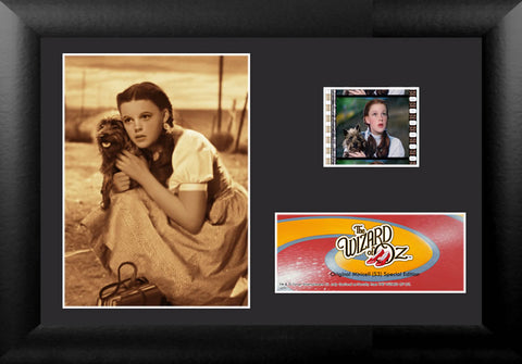 The Wizard of Oz™ (S3) Minicell