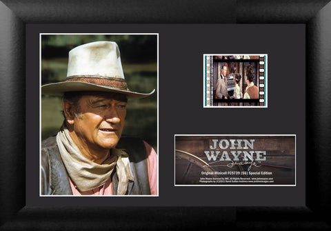 John Wayne DSJWE (S6) Minicell