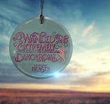 Fantastic Beasts and Where to Find Them™ (Wanded and Dangerous) StarFire Prints™ Hanging Glass