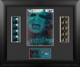 Harry Potter Order of Phoenix S5 Double 13 X 11 Film Cell Numbered Limited Edition COA