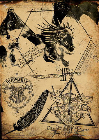 Harry Potter™ (Deathly Hallows Collage) MightyPrint™ Wall Art