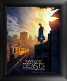 Fantastic Beasts And Where to Find Them™ (Newt) Framed Movie Art