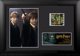 Harry Potter and the Chamber of Secrets™ (S6) Minicell