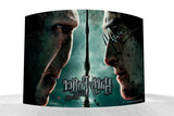 Harry Potter and the Deathly Hallows™ Part 2 (Harry and Voldemort) StarFire Prints™ Curved Glass