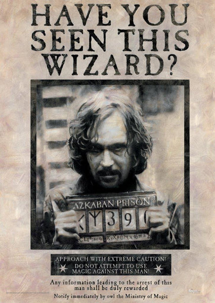 Harry Potter™ (Sirius Black) MightyPrint™ Wall Art