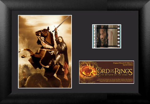 The Lord of the Rings: The Return of the King™ (S1) Minicell