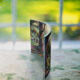 Disney (Sleeping Beauty )  Curved Acrylic Print