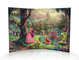 Disney (Sleeping Beauty )  Curved Acrylic Print