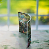 Disney (The Jungle Book) Curved Acrylic Print