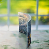 Disney (Tinker Bell and Peter Pan Fly to Neverland) Curved Acrylic Print