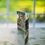 Disney (Winnie The Pooh I) Curved Acrylic Print