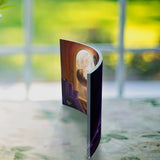 Star Wars (The Mandalorian™ – Turning Point By Monte Moore) Curved Acrylic Print