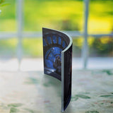 Star Wars (A Son's Destiny) Curved Acrylic Print