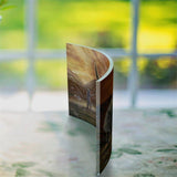 Star Wars (The Mandalorian™ - The Mudhorn) Curved Acrylic Print