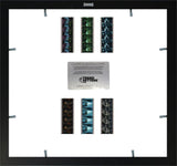 Corpse Bride (S1) Montage  20 X 19 FilmCells™