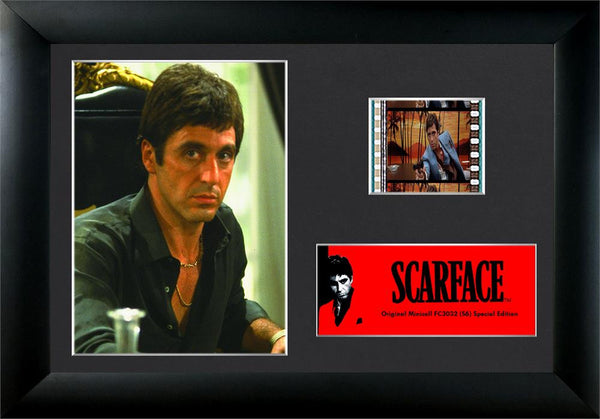 Scarface (S6) Minicell