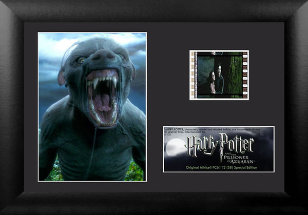 Harry Potter and the Prisoner of Azkaban™ (S8) Minicell