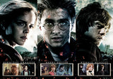 Harry Potter (Beginning to End) MightyPrint™ Wall Art