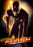 Flash (Lightning Strikes) MightyPrint™ Wall Art