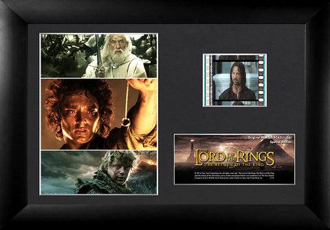 The Lord of the Rings: The Return of the King™ (S6) Minicell