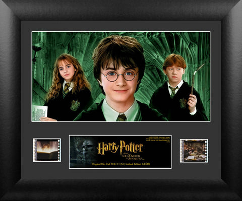 Harry Potter & the Chamber of Secrets S1 Single 13 X 11 Film Cell Numbered Limited Edition COA