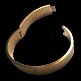 BTiff B.Tiff Signity Star Brighter than Diamond Gold Steel Pave 2 Bangle Bracelet Double Stack