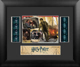Harry Potter & the Deathly Hallows Part 2 S1 Double 13 X 11 Film Cell Numbered Limited Edition COA