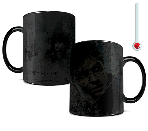 Harry Potter™ (Harry) Morphing Mugs™ Heat-Sensitive Mug