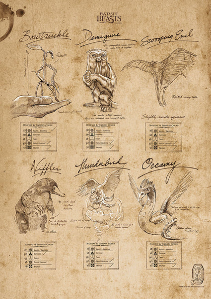 Fantastic Beasts and Where to Find Them™ (Beasts Sketchbook) MightyPrint™ Wall Art
