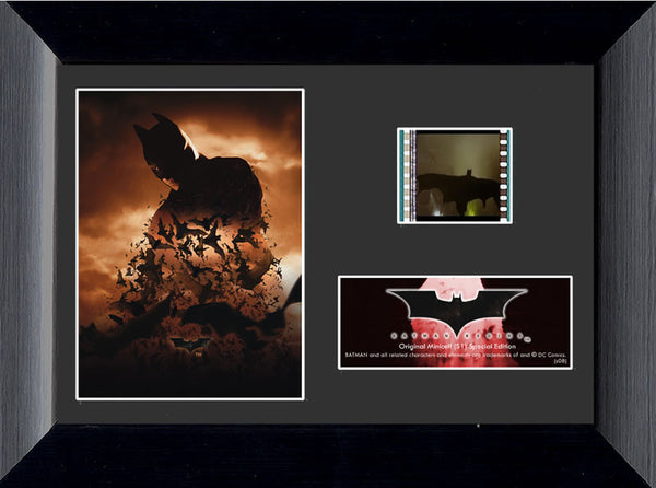 Batman Begins™ (S1) Minicell Film Cell