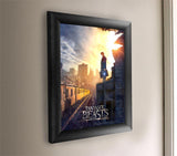 Fantastic Beasts And Where to Find Them™ (Newt) Framed Movie Art