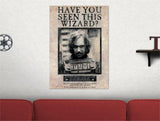 Harry Potter™ (Sirius Black) MightyPrint™ Wall Art
