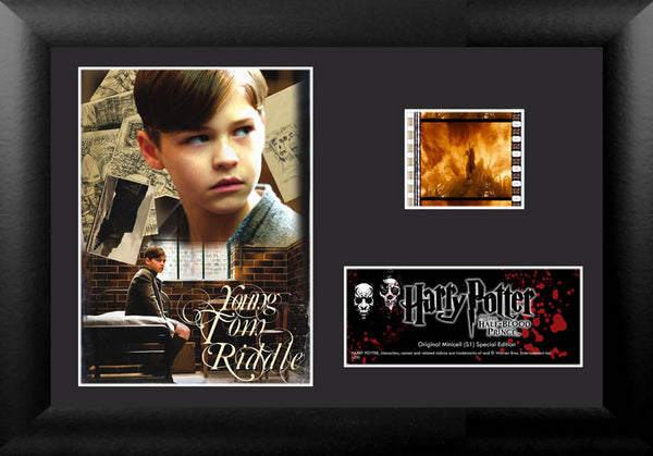 Harry Potter and the Half-Blood Prince™ (S1) Minicell