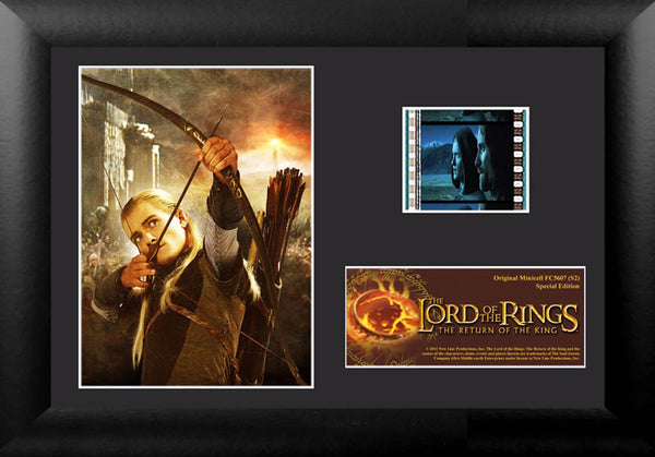 The Lord of the Rings: The Return of the King™ (S2) Minicell
