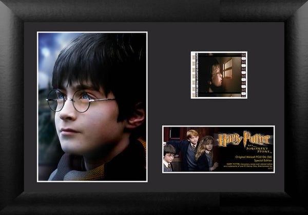 Harry Potter and the Sorcerer's Stone™ (S6) Minicell