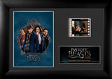 Fantastic Beasts (S2) Minicell