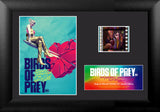 Birds Of Prey (S1) Minicell FilmCells™ Presentation
