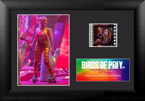 Birds of Prey (S2) Minicell FilmCells™ Presentation