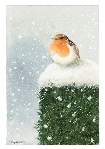 Marjolein Bastin (Red Breasted Robin) MightyPrint™ Wall Art