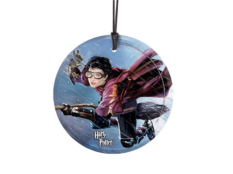 Harry Potter™ (Quidditch) StarFire Prints™ Hanging Glass